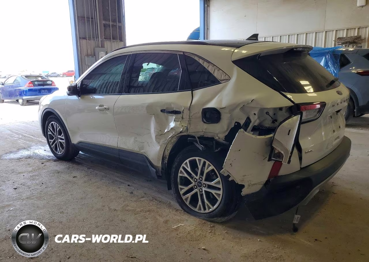 2022 Ford Escape Sel VIN:1FMCU0H69NUB64465 - 2