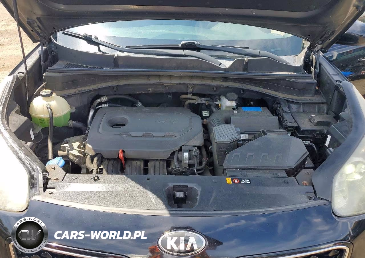 2017 Kia Sportage Lx VIN:KNDPMCAC9H7039749 - 12