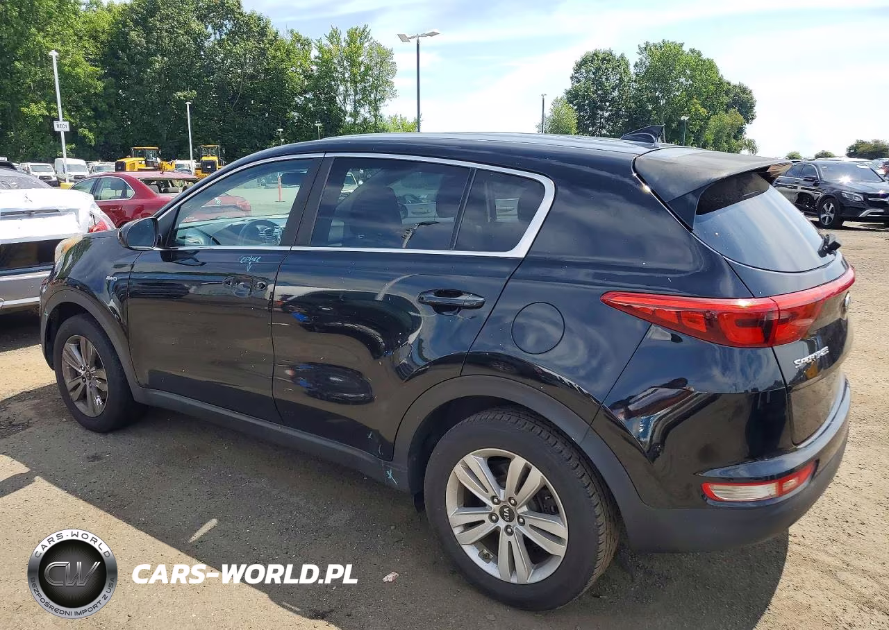 2017 Kia Sportage Lx VIN:KNDPMCAC9H7039749 - 2
