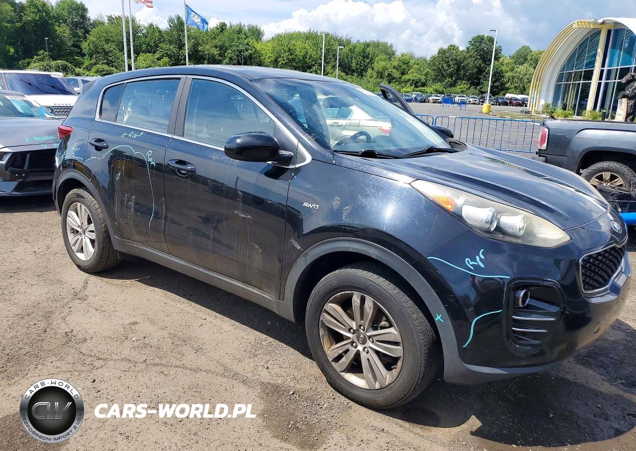 2017 Kia Sportage Lx VIN:KNDPMCAC9H7039749 - 4