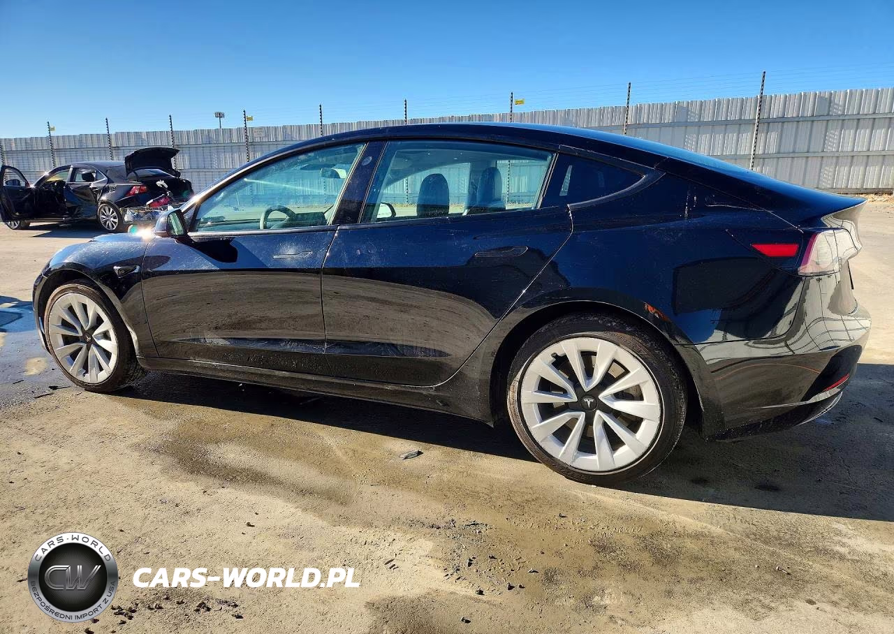 2023 Tesla Model 3 VIN:5YJ3E1EA3PF460030 - 2
