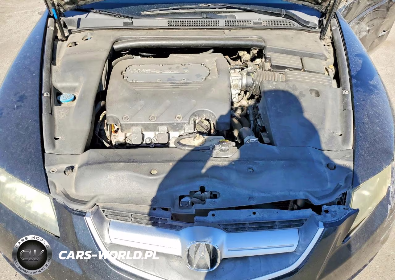 2005 Acura Tl VIN:19UUA66245A059873 - 11