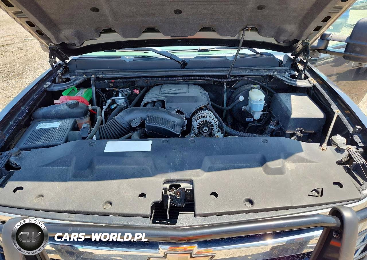 2009 Chevrolet Silverado K1500 VIN:1GCEK14C49Z150972 - 11