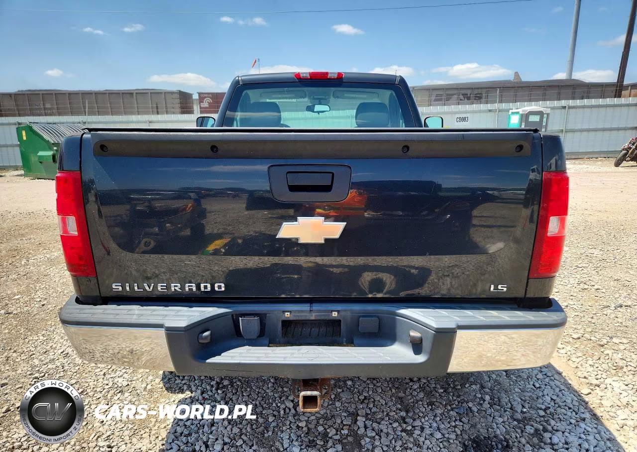 2009 Chevrolet Silverado K1500 VIN:1GCEK14C49Z150972 - 6
