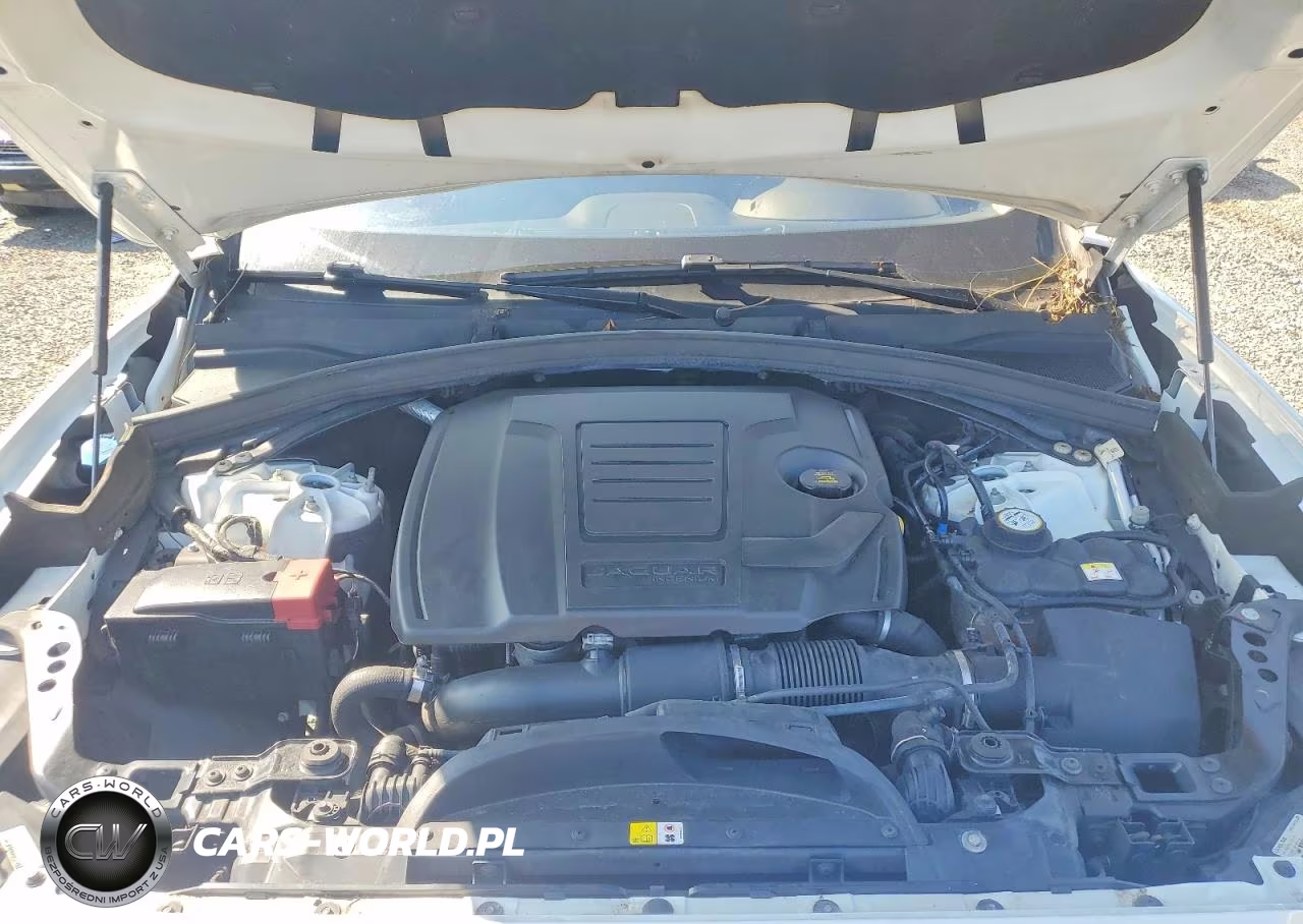 2019 Jaguar F-Pace VIN:SADCS2FX1KA604861 - 12