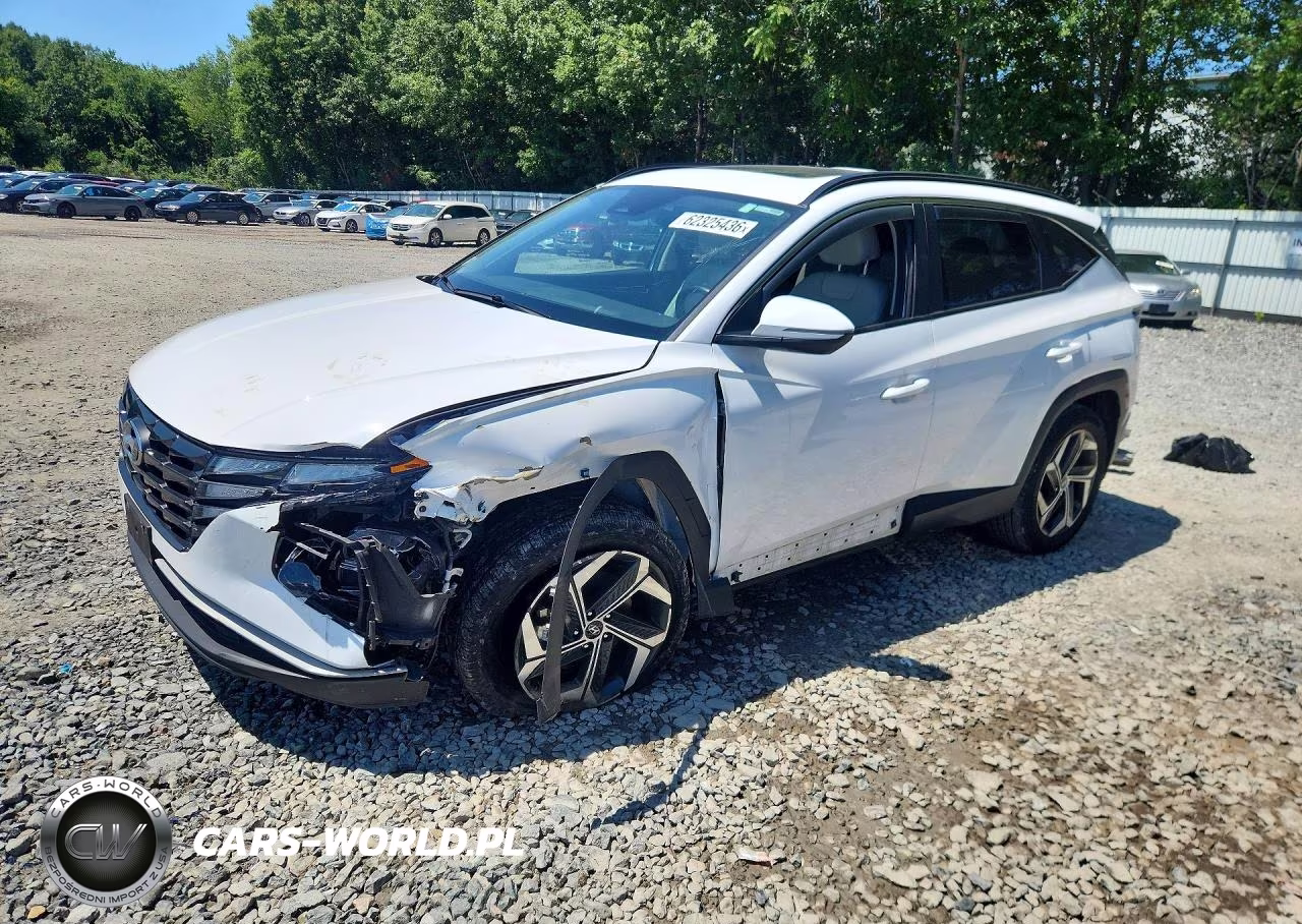 2023 Hyundai Tucson Sel VIN:5NMJFCAE5PH251749 - 1
