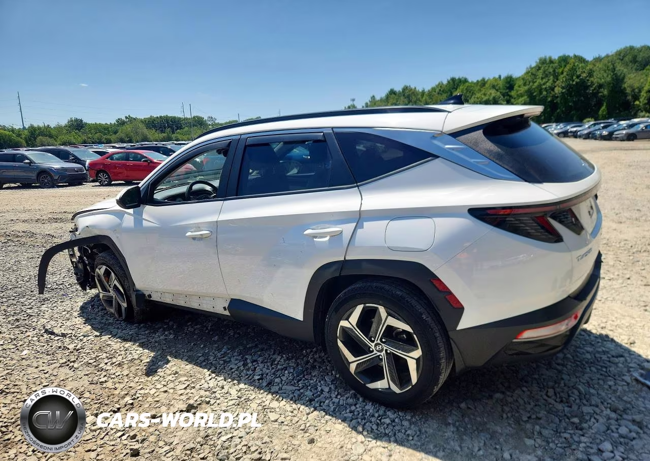 2023 Hyundai Tucson Sel VIN:5NMJFCAE5PH251749 - 2