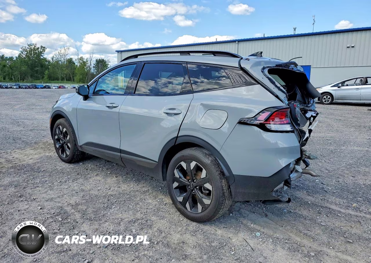2024 Kia Sportage X Line VIN:5XYK6CDF9RG149182 - 2