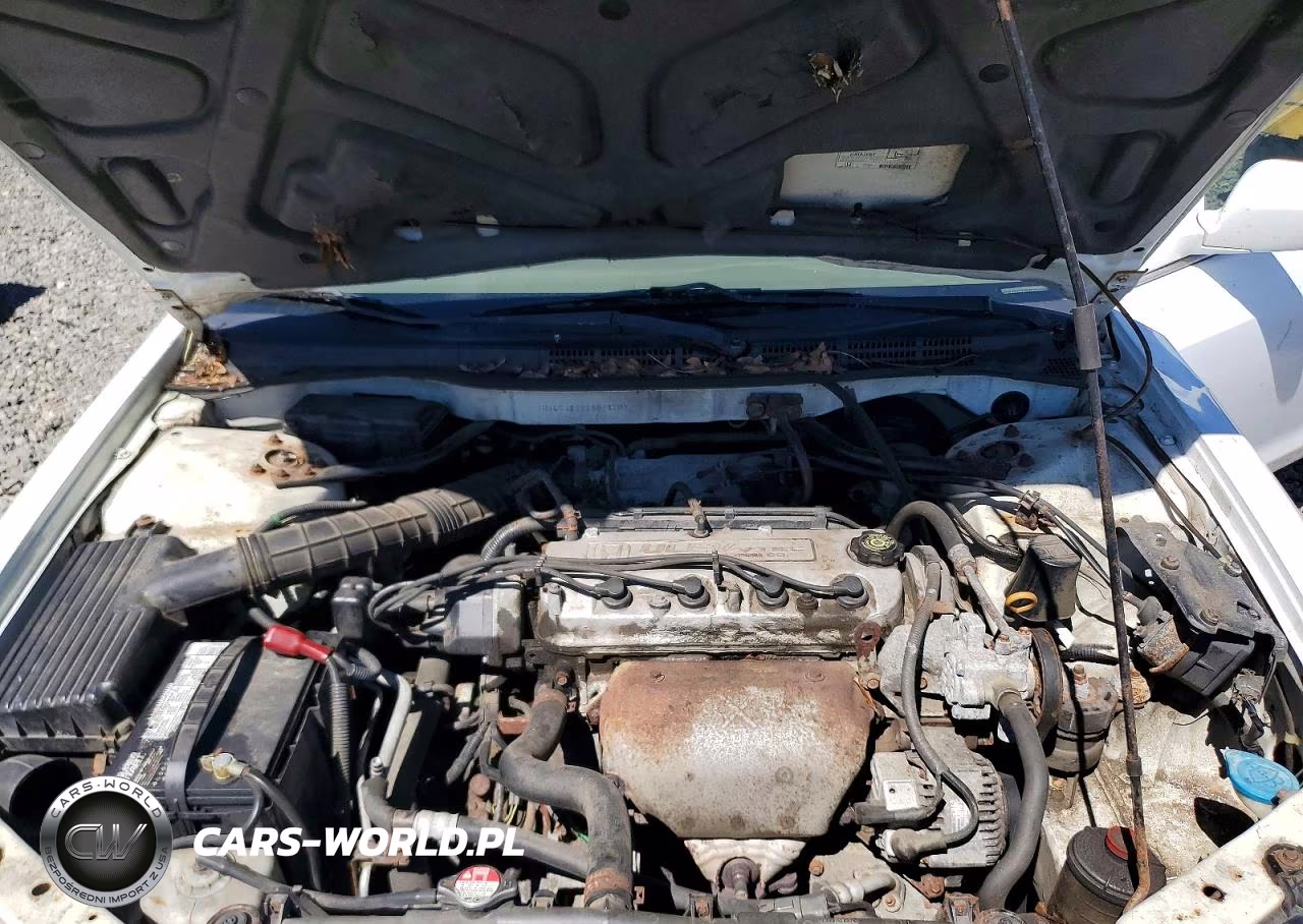2002 Honda Accord Se VIN:1HGCG32292A024207 - 11