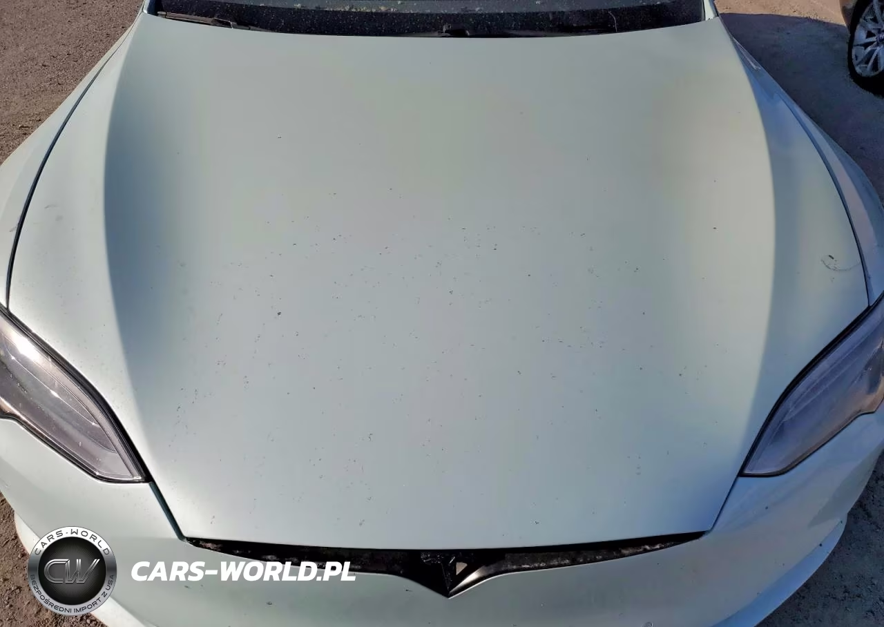 2019 Tesla Model S VIN:5YJSA1E43KF334390 - 11