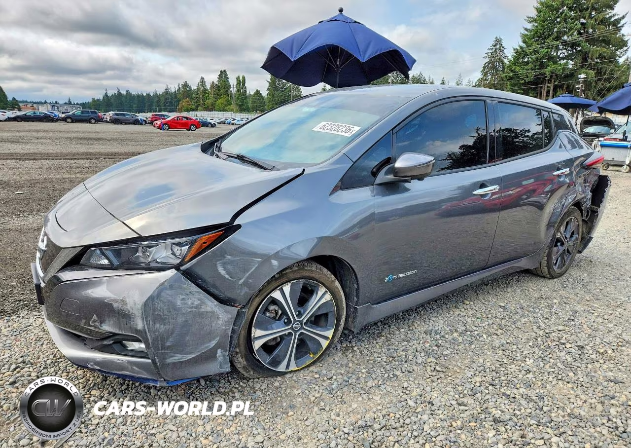 2019 Nissan Leaf Sl Plus