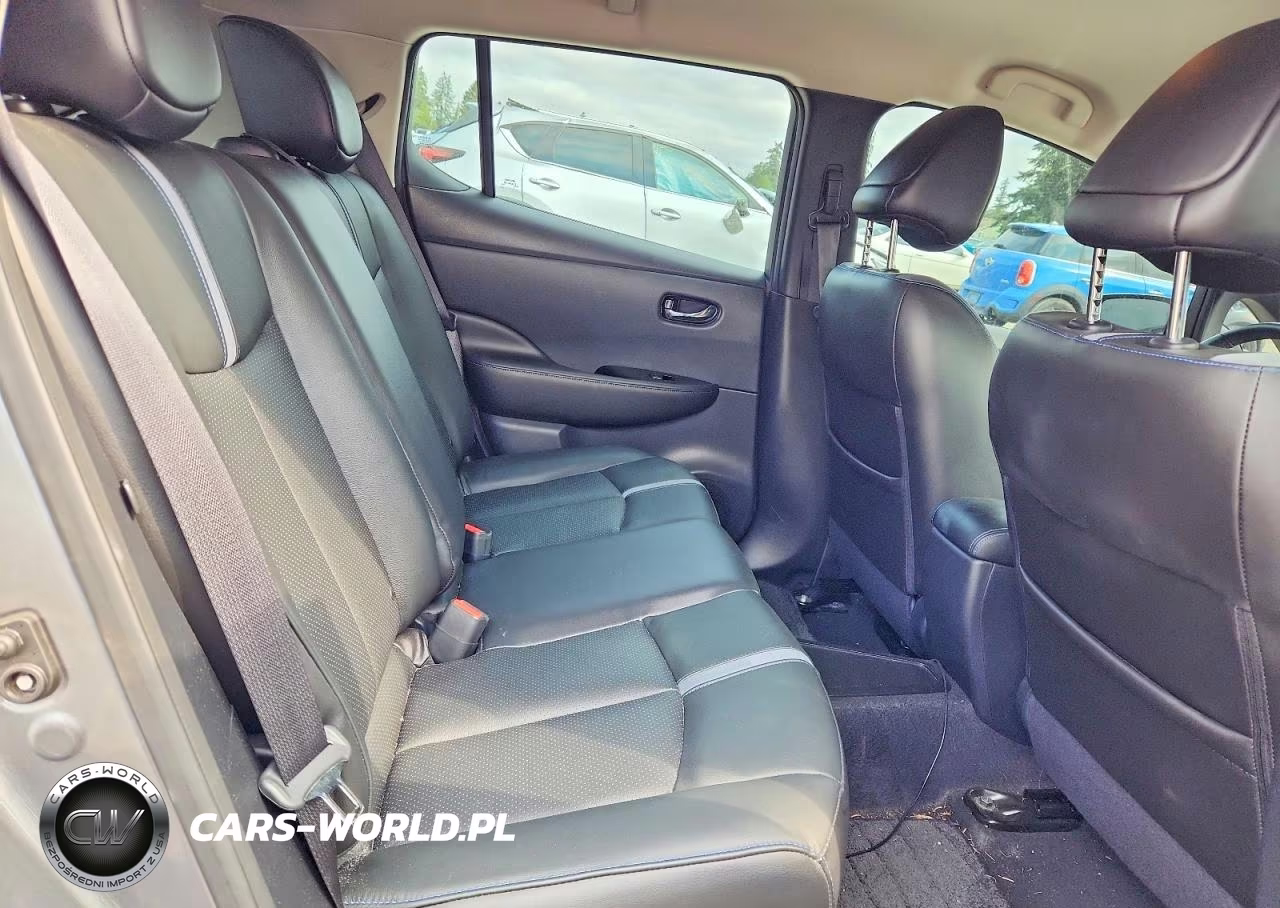 2019 Nissan Leaf Sl Plus VIN:1N4BZ1CP4KC312956 - 10