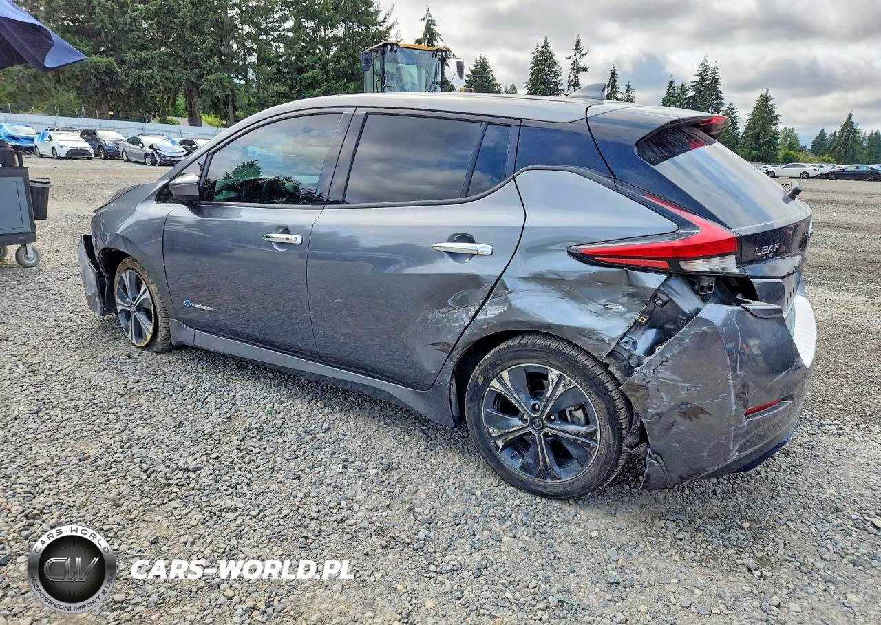 2019 Nissan Leaf Sl Plus VIN:1N4BZ1CP4KC312956 - 2