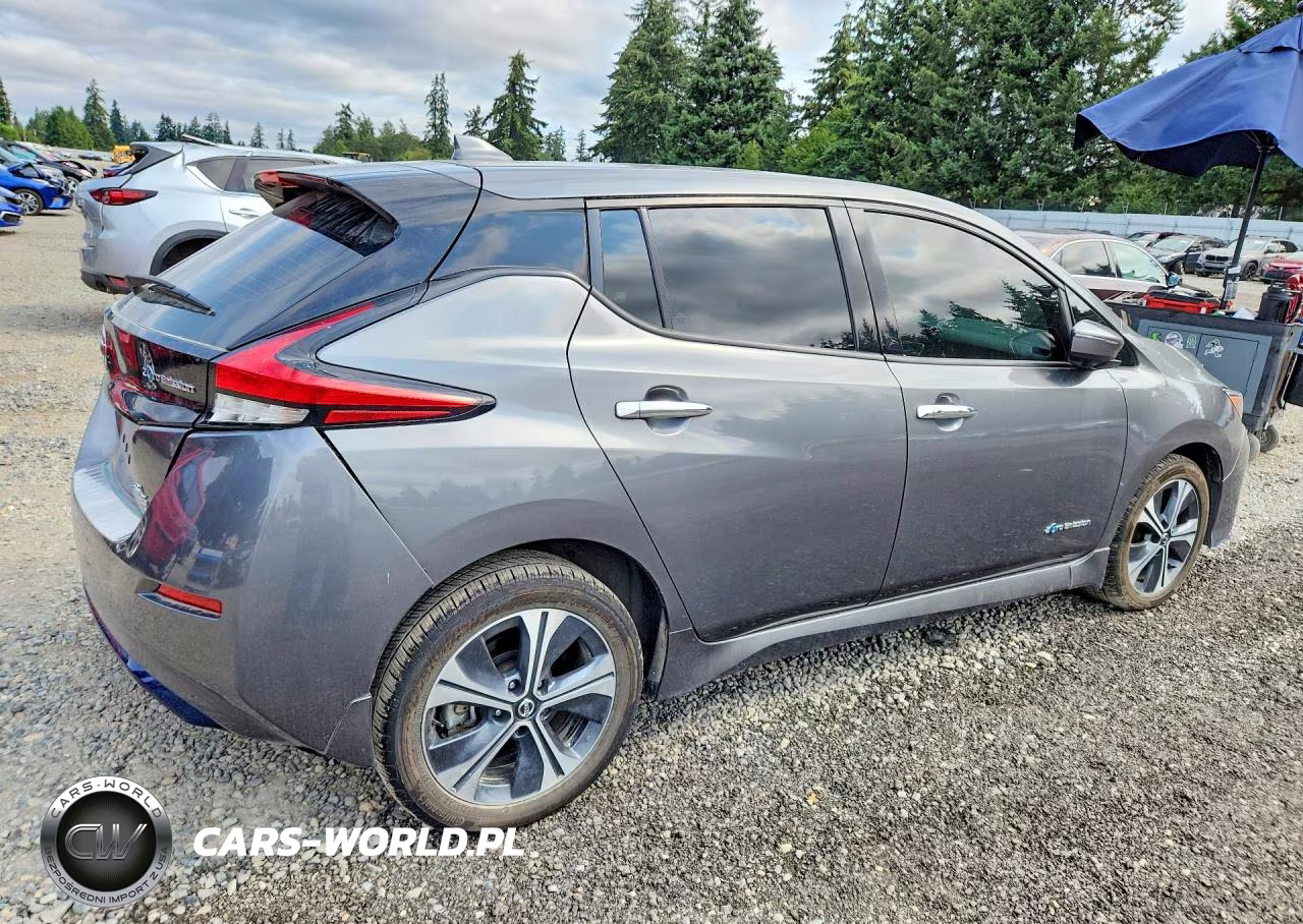 2019 Nissan Leaf Sl Plus VIN:1N4BZ1CP4KC312956 - 3