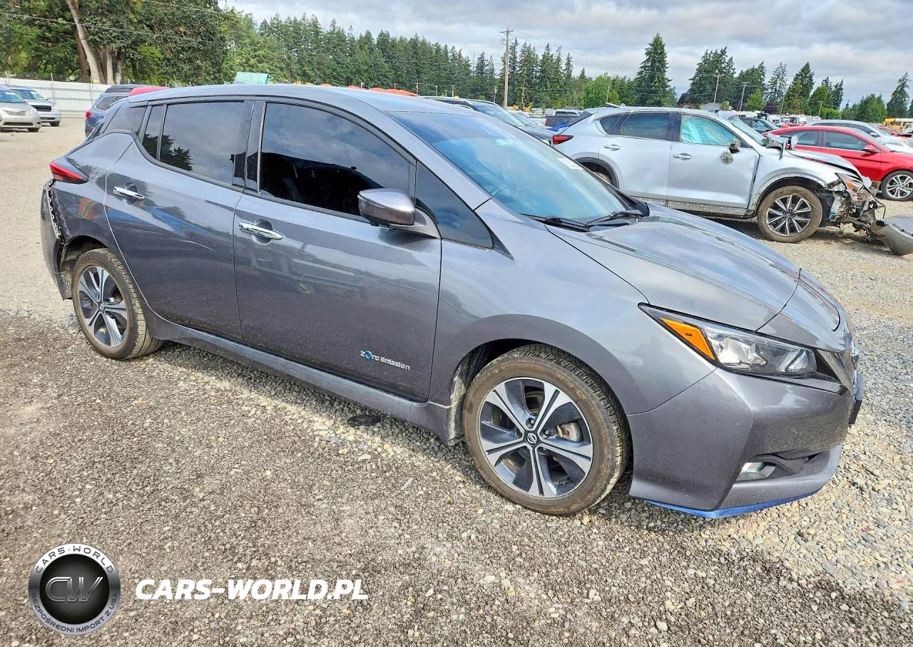 2019 Nissan Leaf Sl Plus VIN:1N4BZ1CP4KC312956 - 4