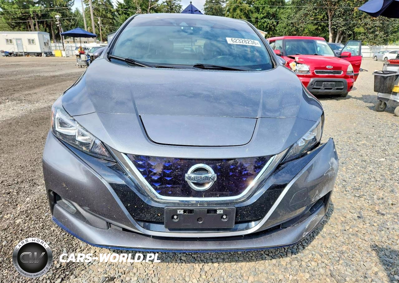 2019 Nissan Leaf Sl Plus VIN:1N4BZ1CP4KC312956 - 5