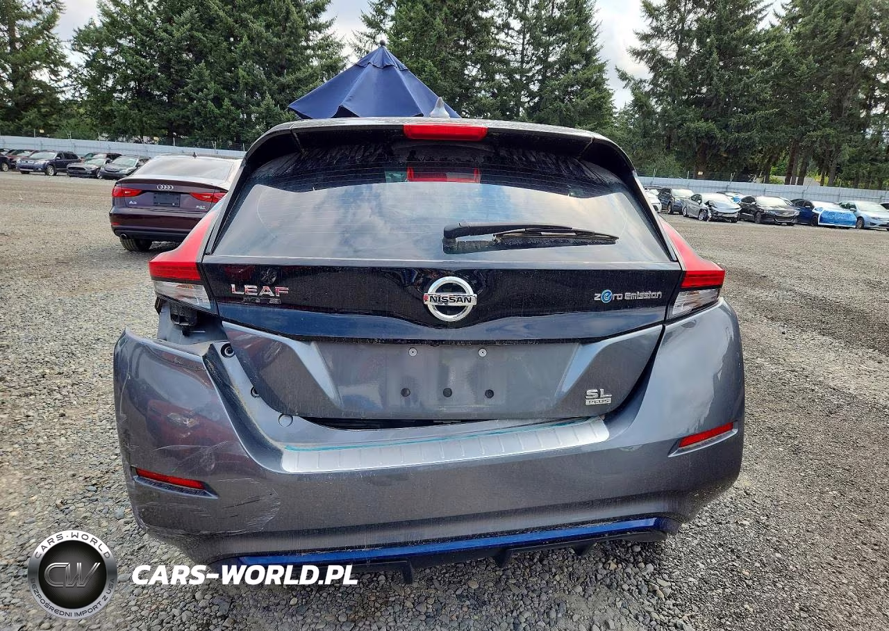 2019 Nissan Leaf Sl Plus VIN:1N4BZ1CP4KC312956 - 6