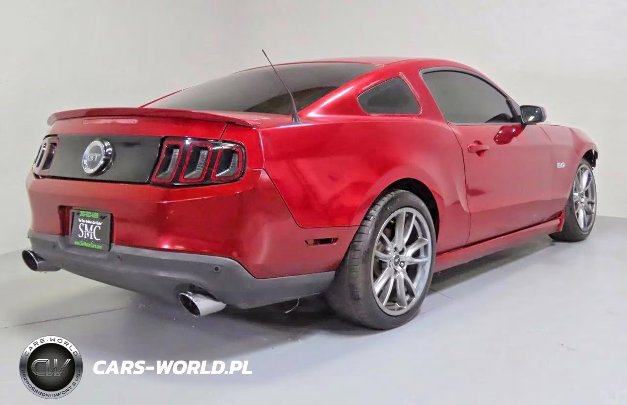 2014 Ford Mustang Gt VIN:1ZVBP8CF0E5321594 - 3