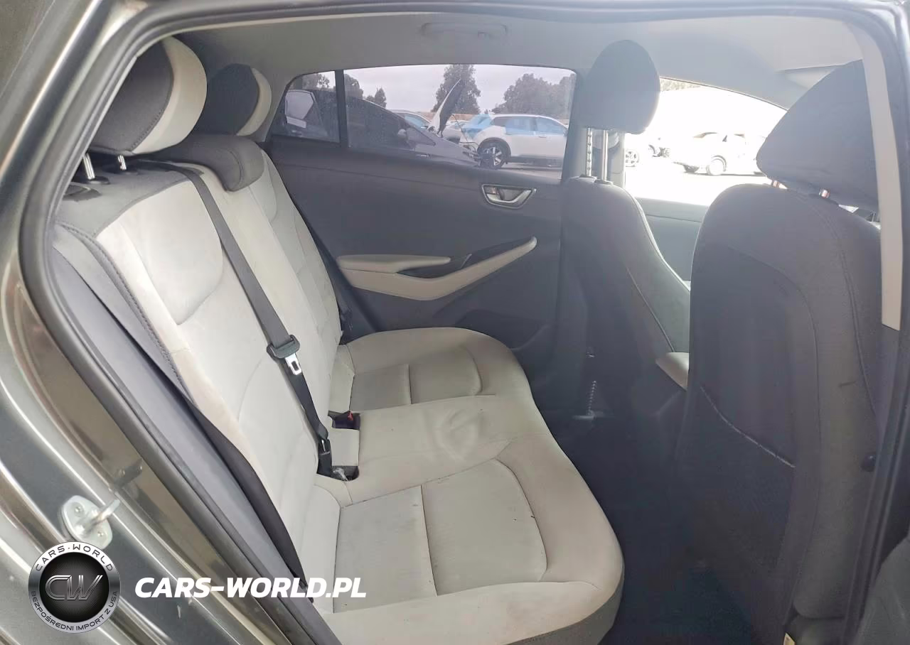 2021 Hyundai Ioniq Blue VIN:KMHC65LC2MU257878 - 10