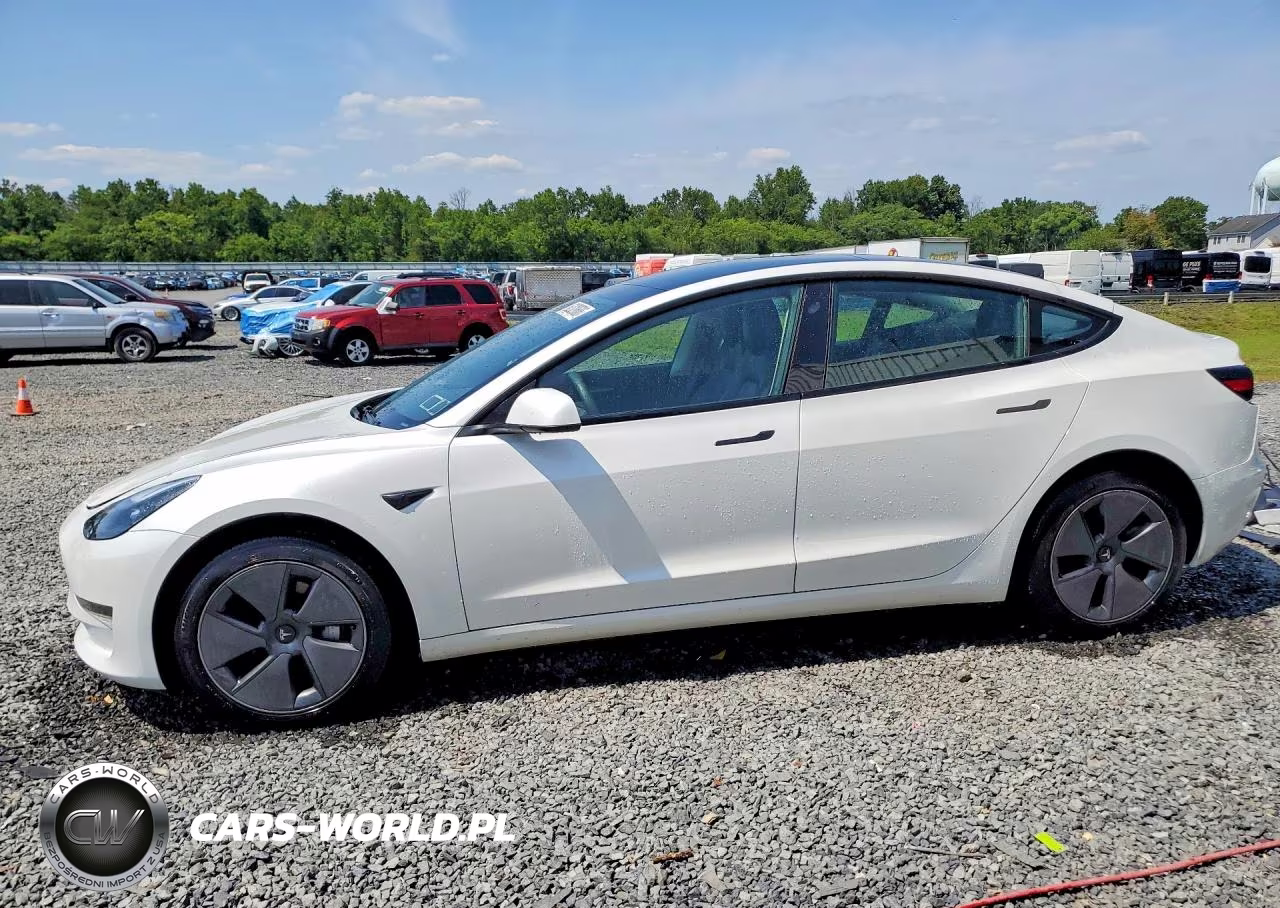 2023 Tesla Model 3 VIN:5YJ3E1EAXPF638855 - 1