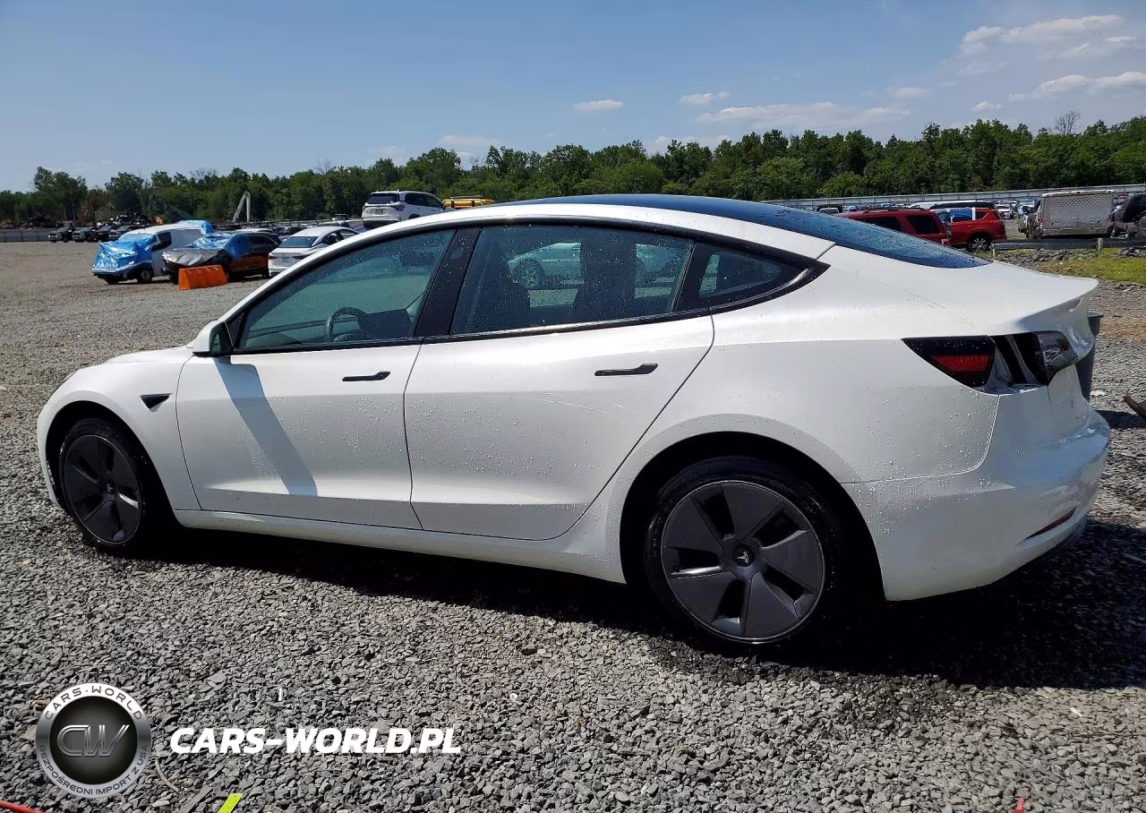 2023 Tesla Model 3 VIN:5YJ3E1EAXPF638855 - 2