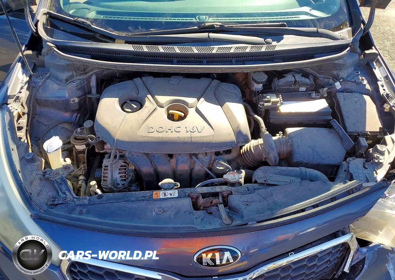 2014 Kia Forte Lx VIN:KNAFK4A60E5071978 - 11