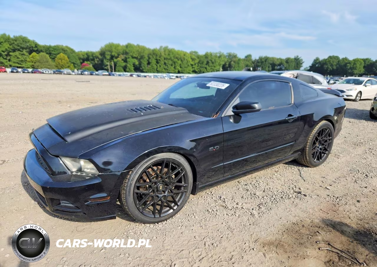 2013 Ford Mustang Gt VIN:1ZVBP8CFXD5267381 - 1