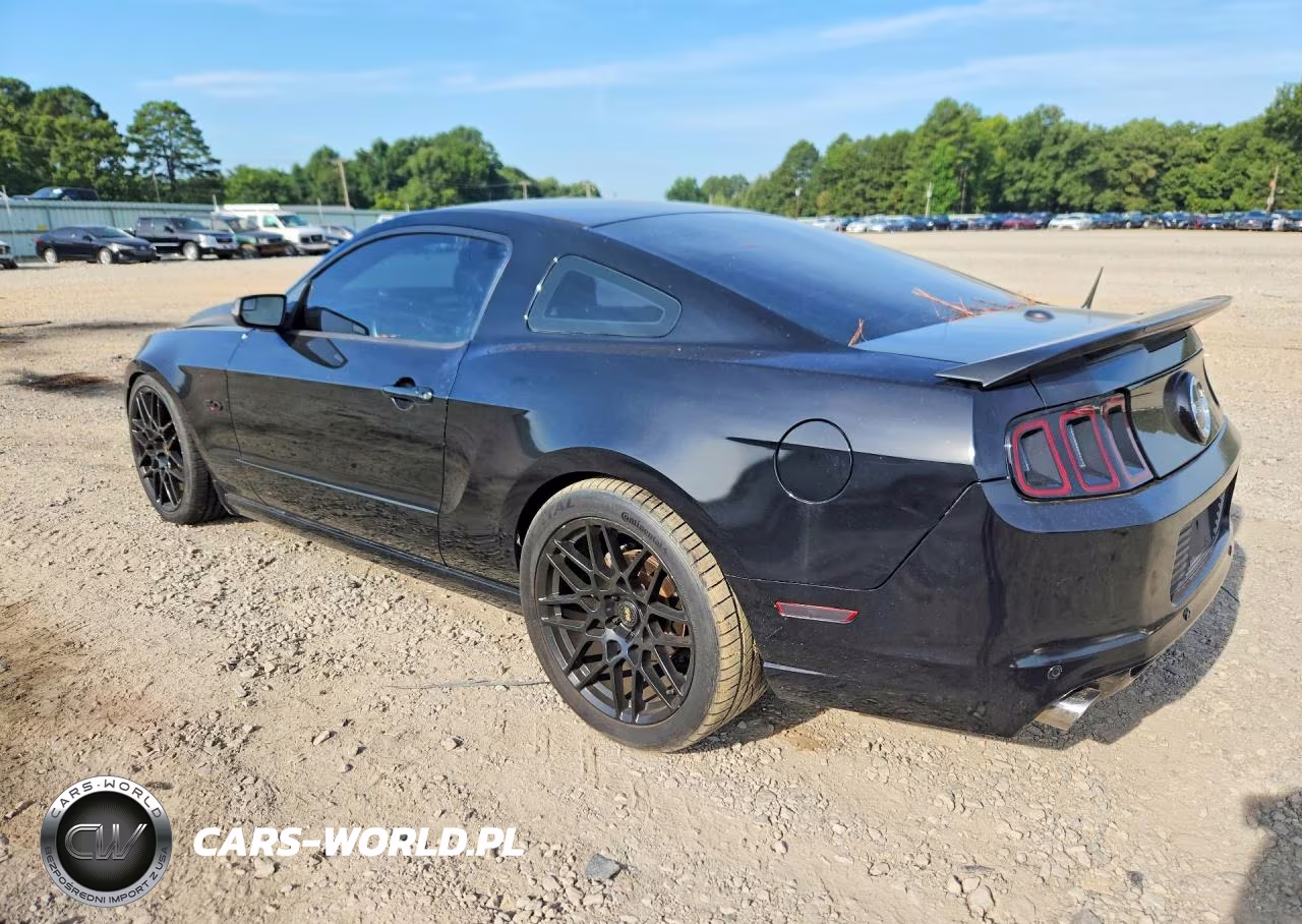 2013 Ford Mustang Gt VIN:1ZVBP8CFXD5267381 - 2