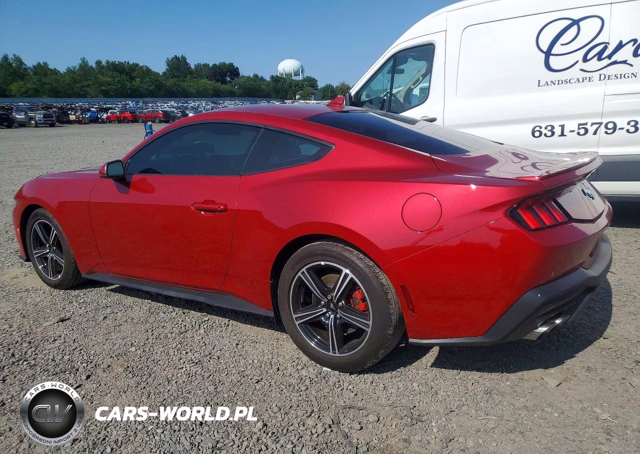 2024 Ford Mustang VIN:1FA6P8TH8R5112234 - 2