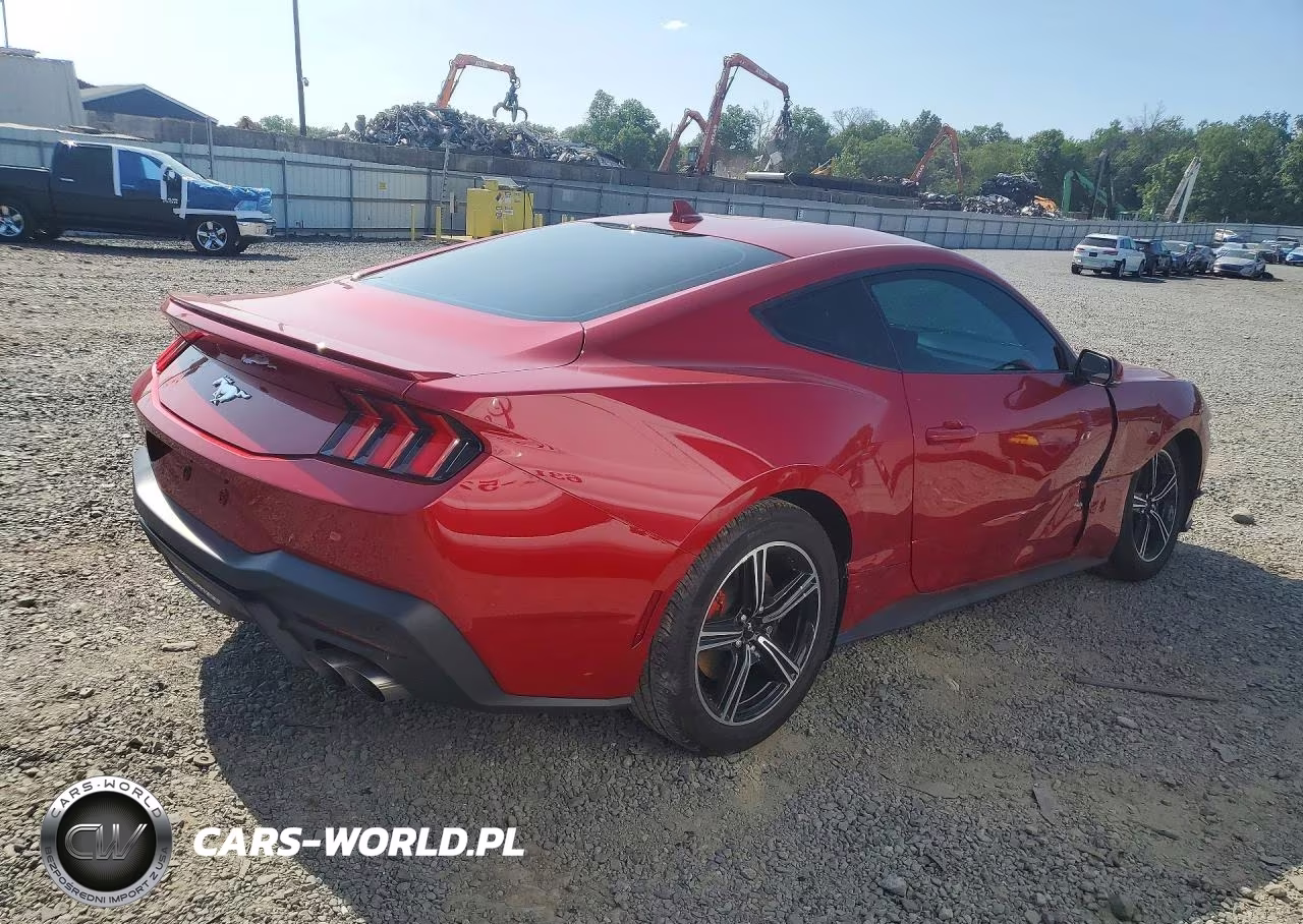 2024 Ford Mustang VIN:1FA6P8TH8R5112234 - 3