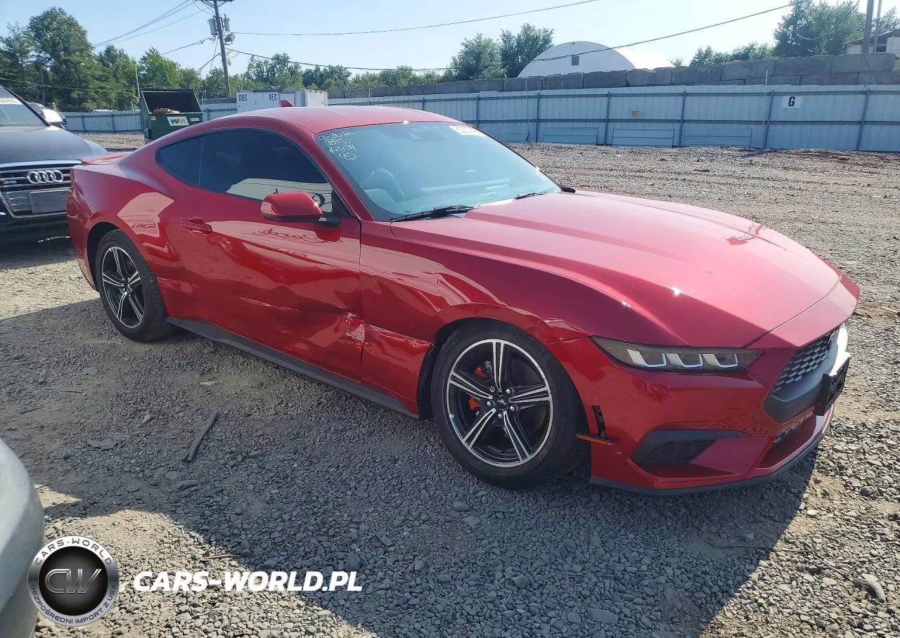 2024 Ford Mustang VIN:1FA6P8TH8R5112234 - 4