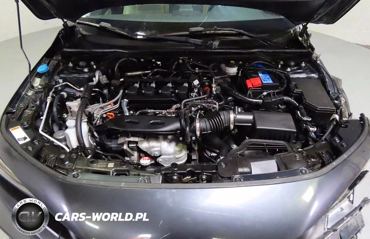 2024 Honda Civic Exl VIN:19XFL1H75RE020189 - 7