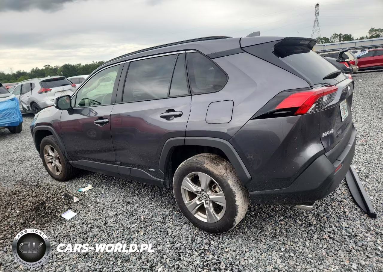 2025 Toyota Rav4 Hybrid Xle VIN:JTMRWRFV7SJ066877 - 2
