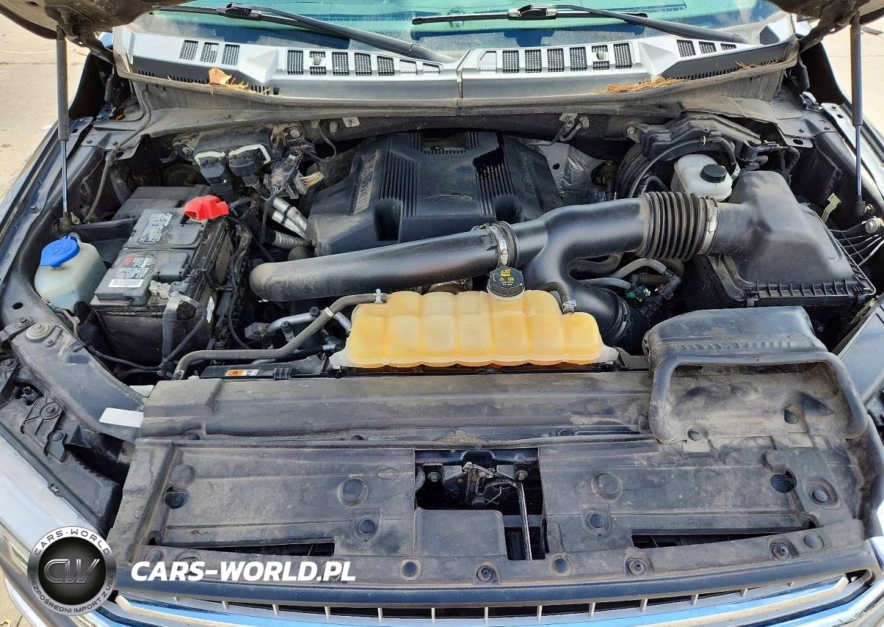 2018 Ford F150 Supercrew VIN:1FTEW1EG9JKC52559 - 11