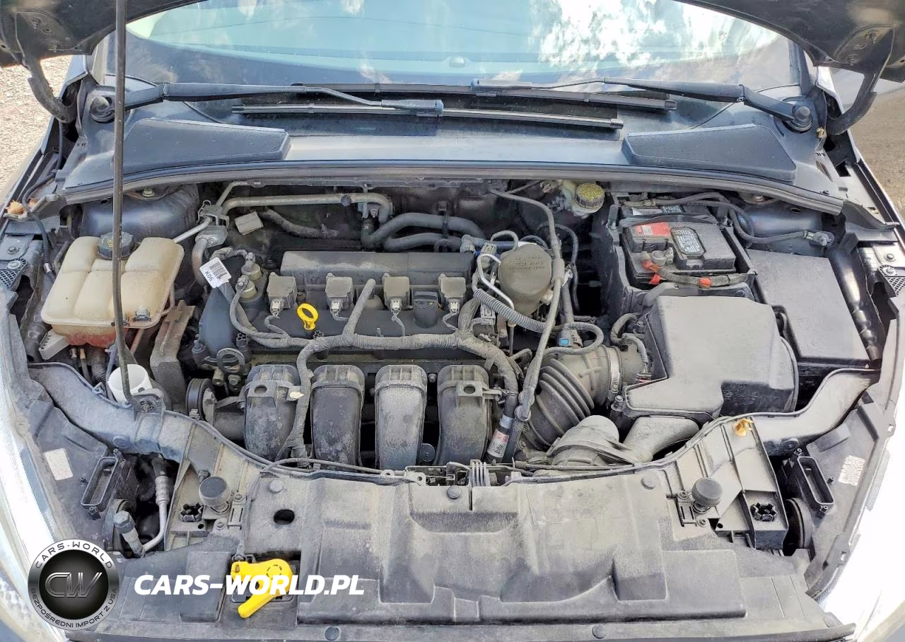 2016 Ford Focus Se VIN:1FADP3K24GL245475 - 11