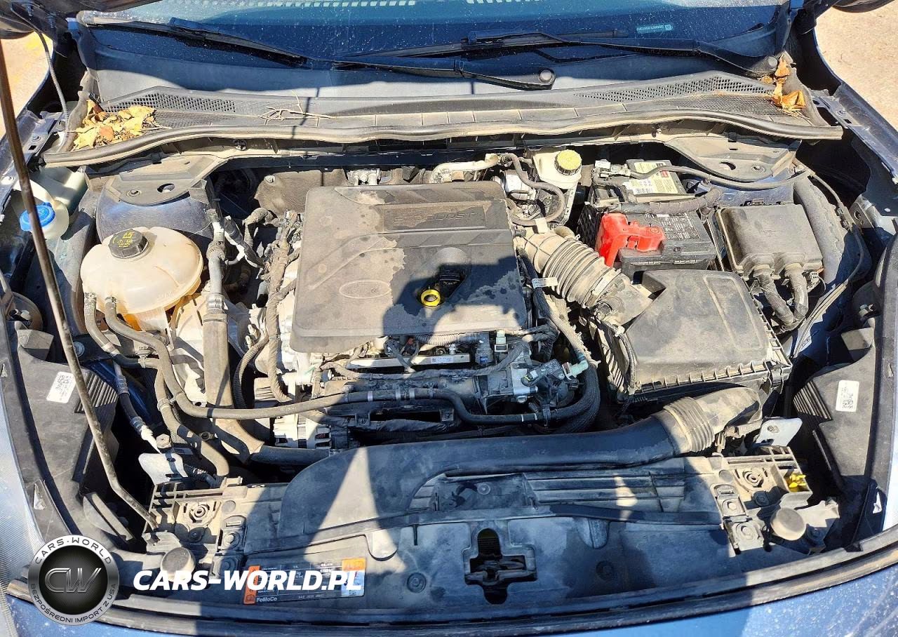2020 Ford Escape Se VIN:1FMCU0G67LUB68089 - 11