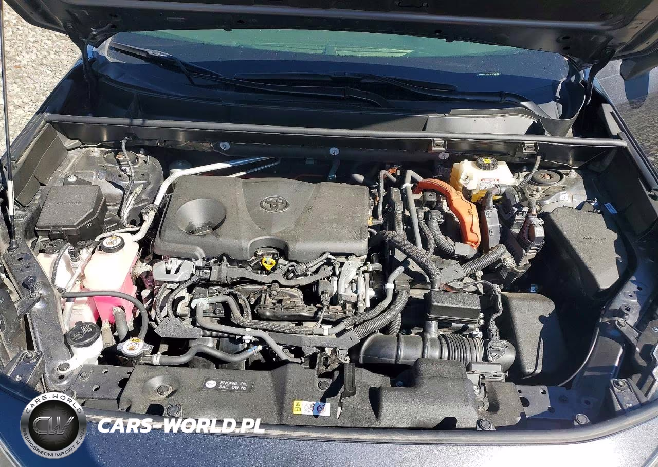 2019 Toyota Rav4 Hybrid Xle VIN:JTMRWRFV2KD504543 - 12