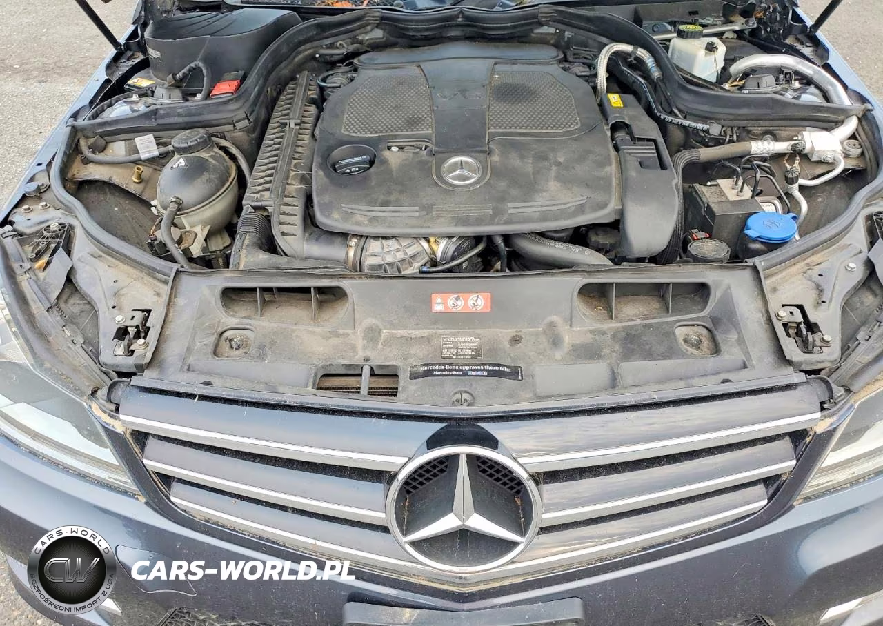 2014 Mercedes-Benz C 300 4Matic VIN:WDDGF8AB9ER318901 - 11