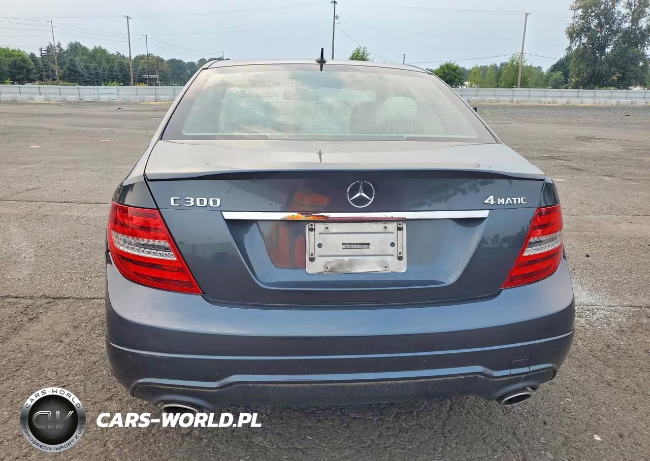 2014 Mercedes-Benz C 300 4Matic VIN:WDDGF8AB9ER318901 - 6