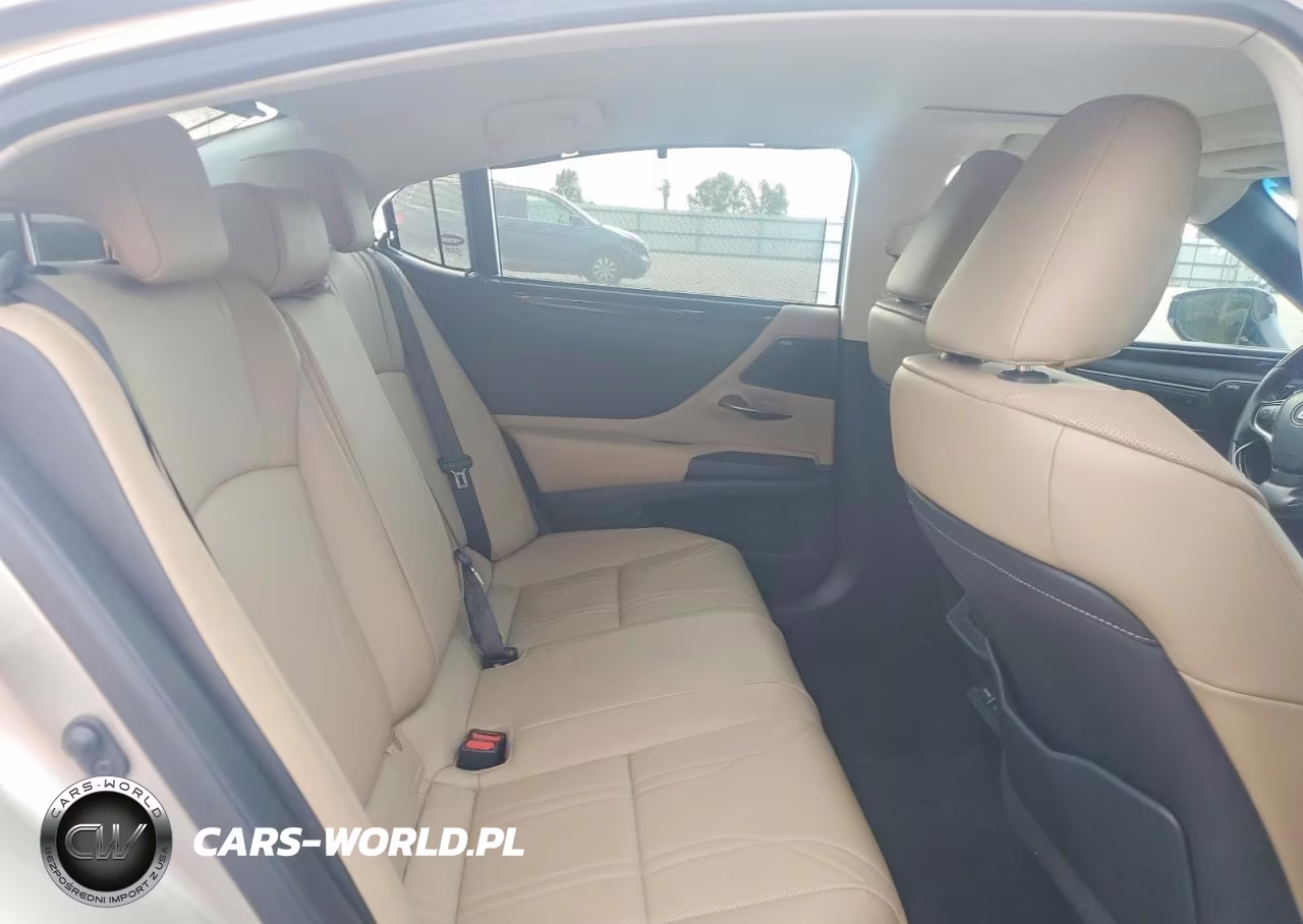 2020 Lexus Es 300H Ultra Luxury VIN:58AF21B12LU010594 - 10