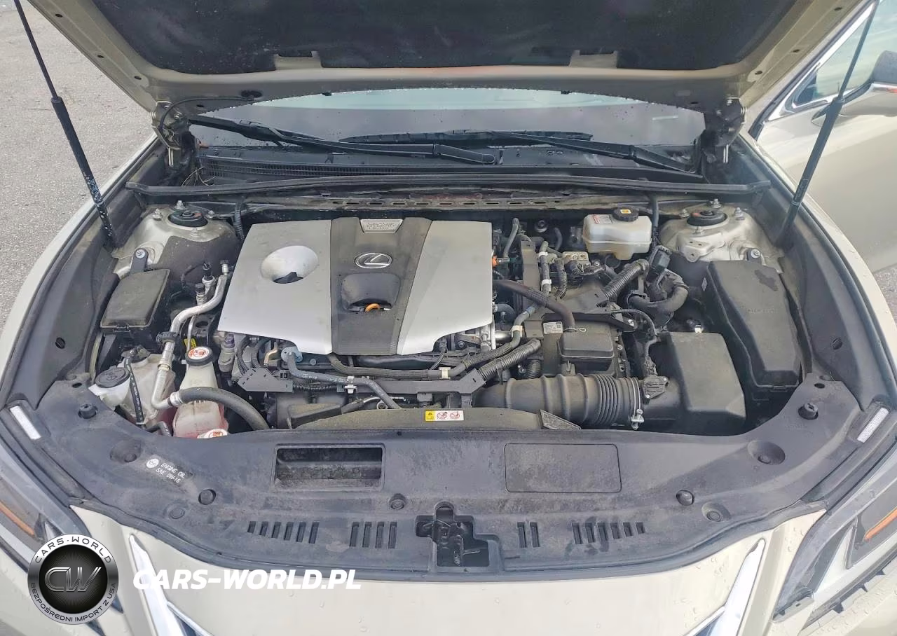 2020 Lexus Es 300H Ultra Luxury VIN:58AF21B12LU010594 - 11