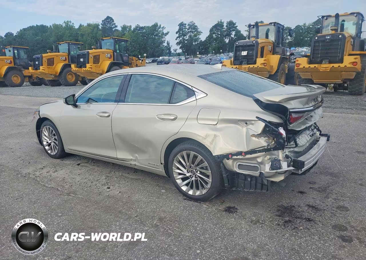 2020 Lexus Es 300H Ultra Luxury VIN:58AF21B12LU010594 - 2