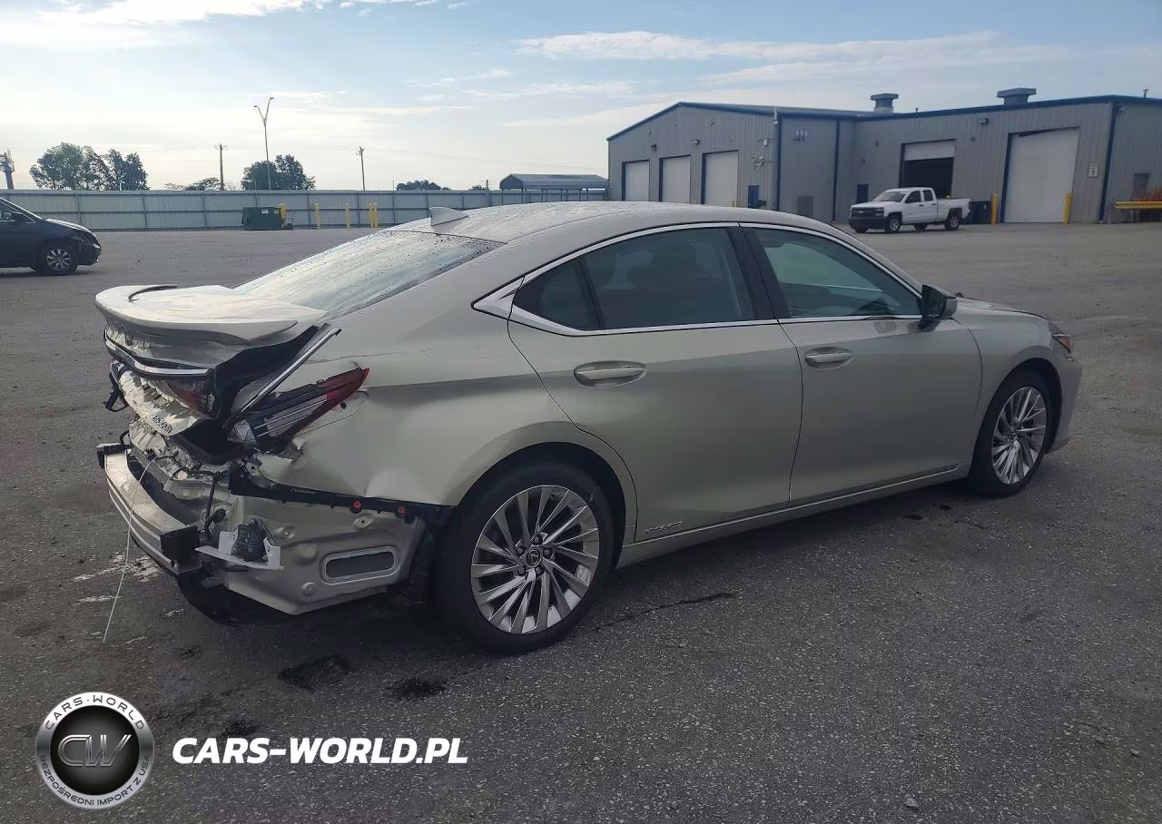 2020 Lexus Es 300H Ultra Luxury VIN:58AF21B12LU010594 - 3