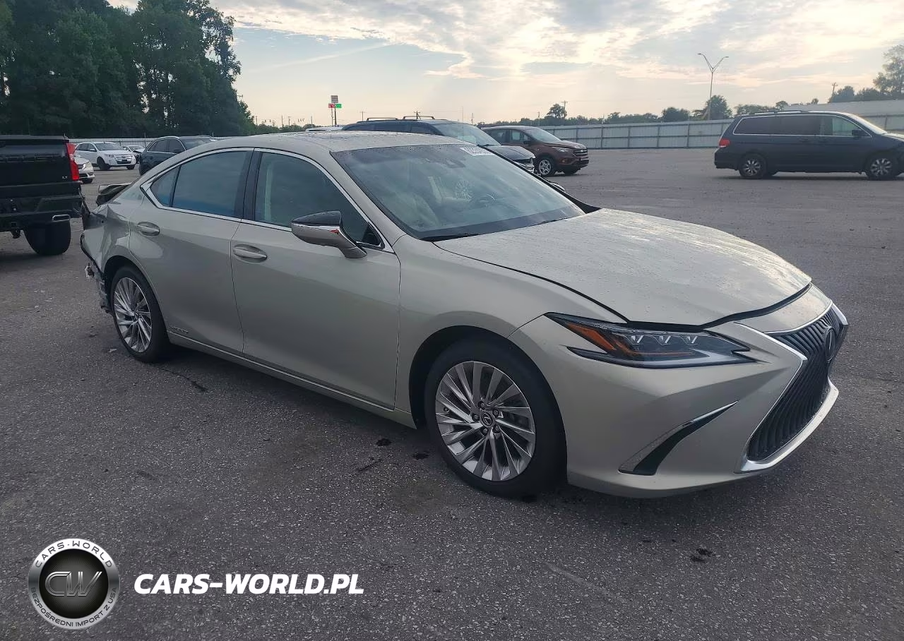 2020 Lexus Es 300H Ultra Luxury VIN:58AF21B12LU010594 - 4