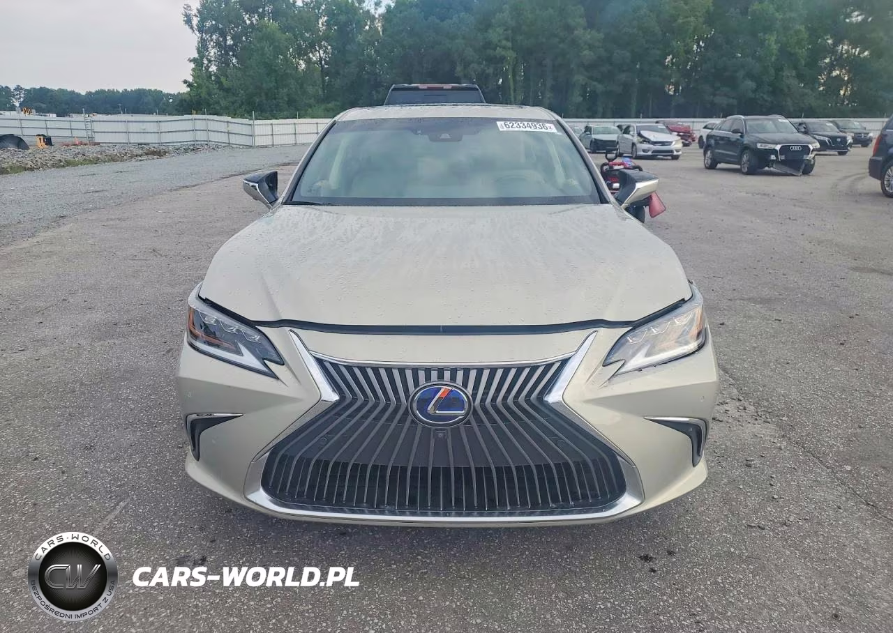 2020 Lexus Es 300H Ultra Luxury VIN:58AF21B12LU010594 - 5