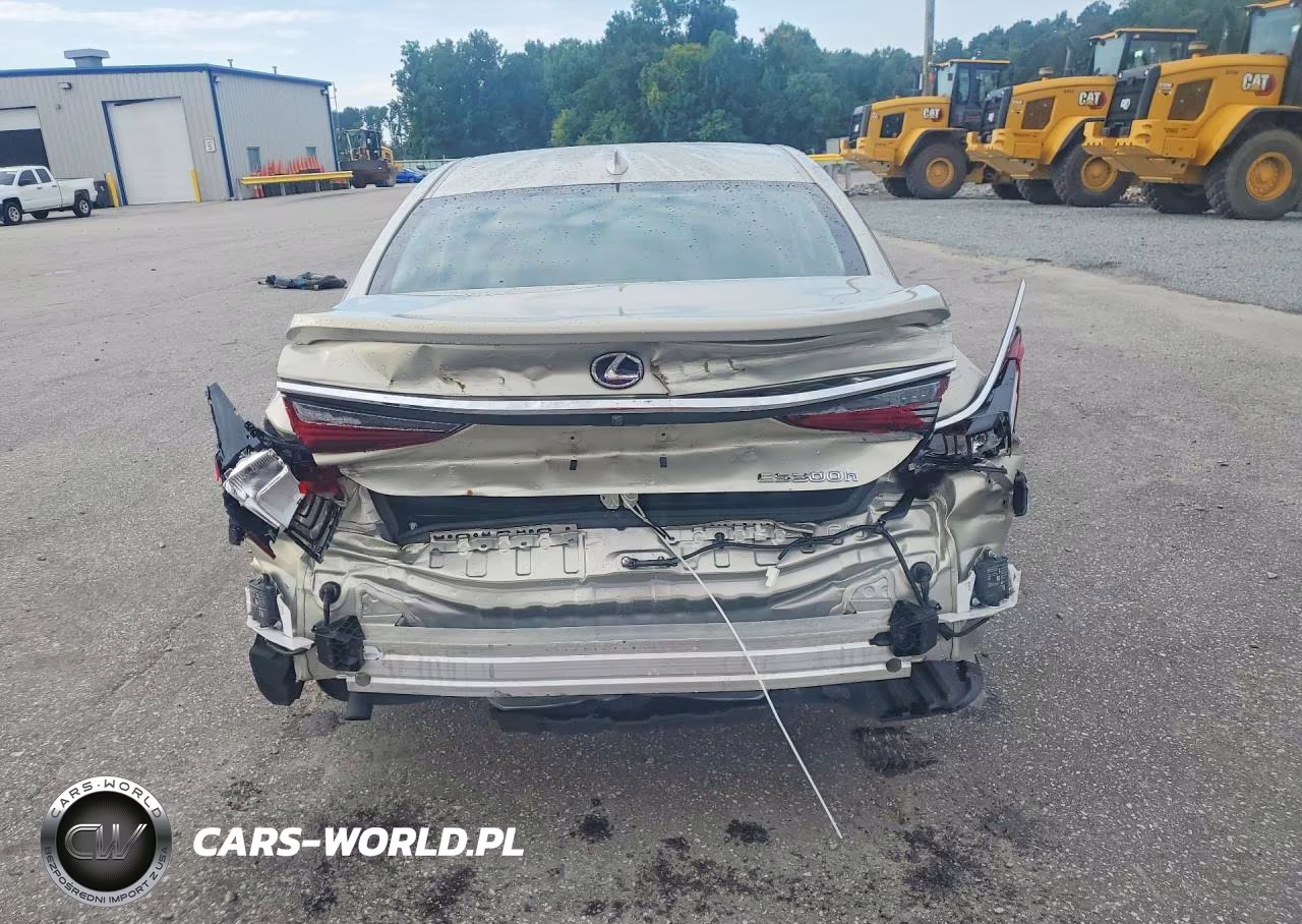 2020 Lexus Es 300H Ultra Luxury VIN:58AF21B12LU010594 - 6