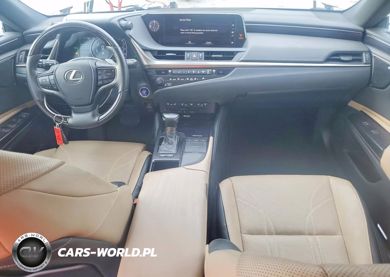 2020 Lexus Es 300H Ultra Luxury VIN:58AF21B12LU010594 - 8