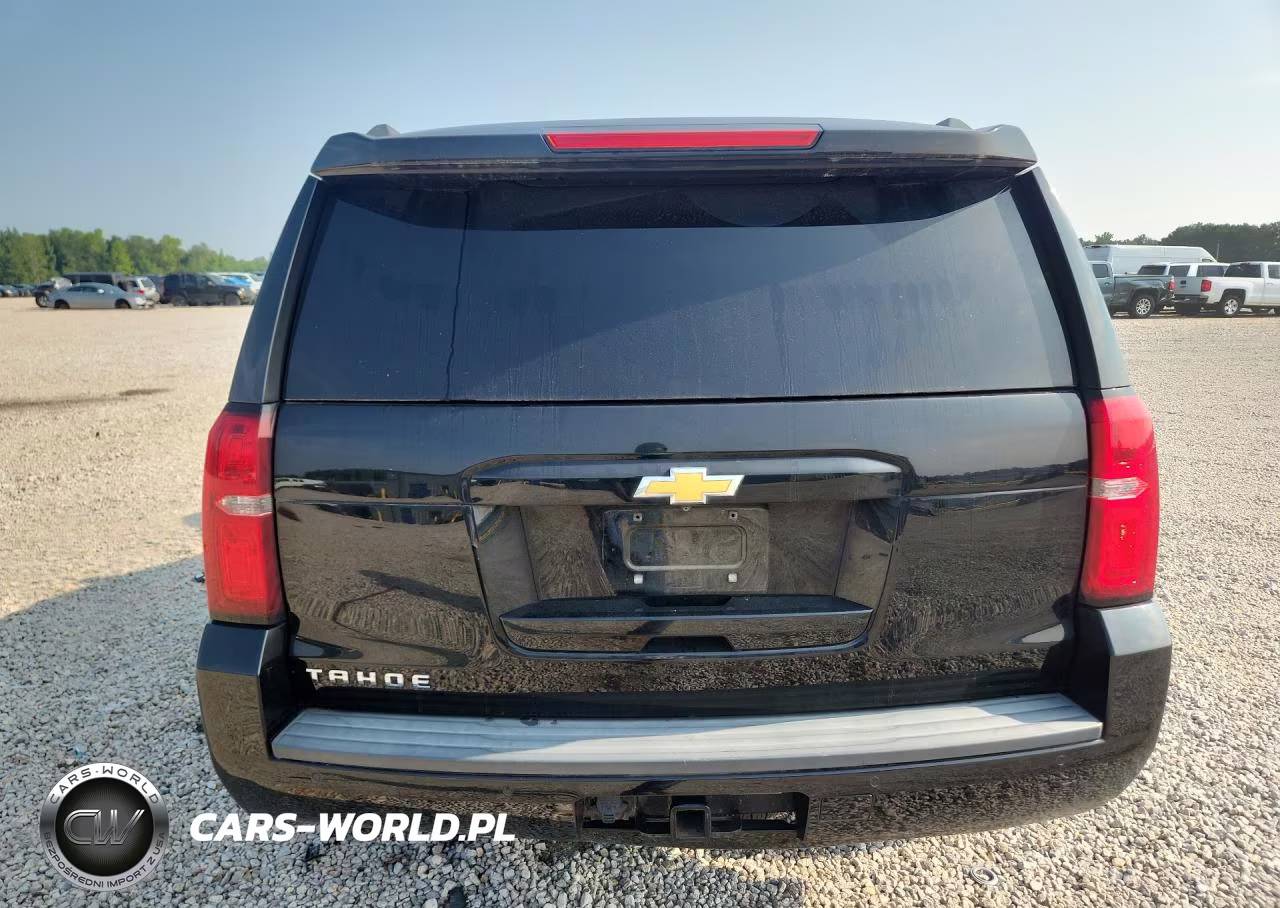 2020 Chevrolet Tahoe K1500 Ls VIN:1GNSKAKC3LR124089 - 6