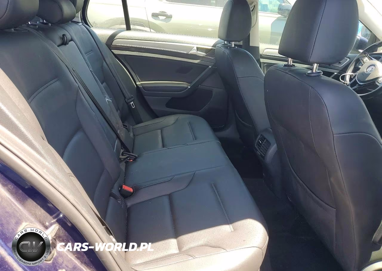2019 Volkswagen E-Golf Sel Premium VIN:WVWPR7AU7KW918908 - 10