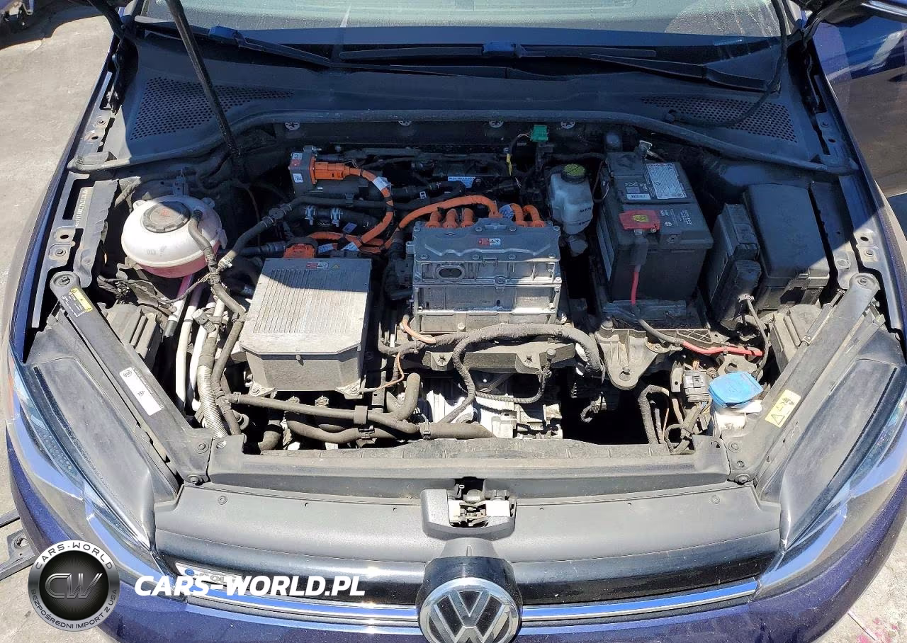 2019 Volkswagen E-Golf Sel Premium VIN:WVWPR7AU7KW918908 - 11